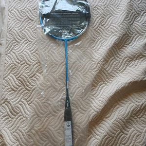 요넥스 아스트록스 1dg