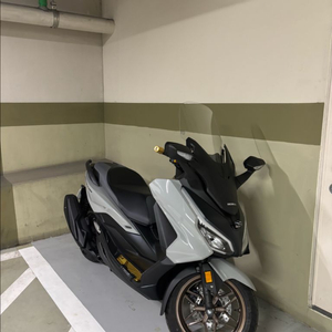 2025혼다 Forza350 그레이