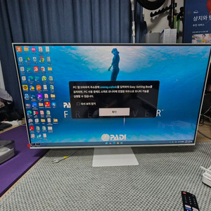 삼성 43인치 모니터/TV 겸용 S43DM1E3UK 팝니다