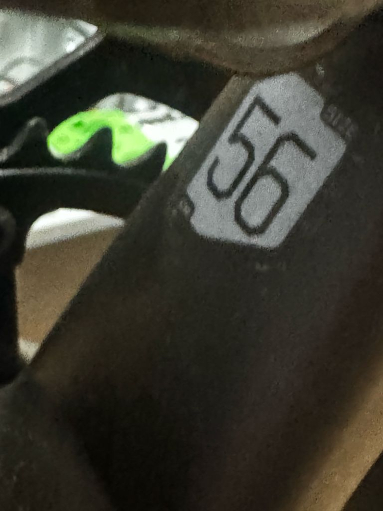 캐논데일 캐드13 56사이즈--1