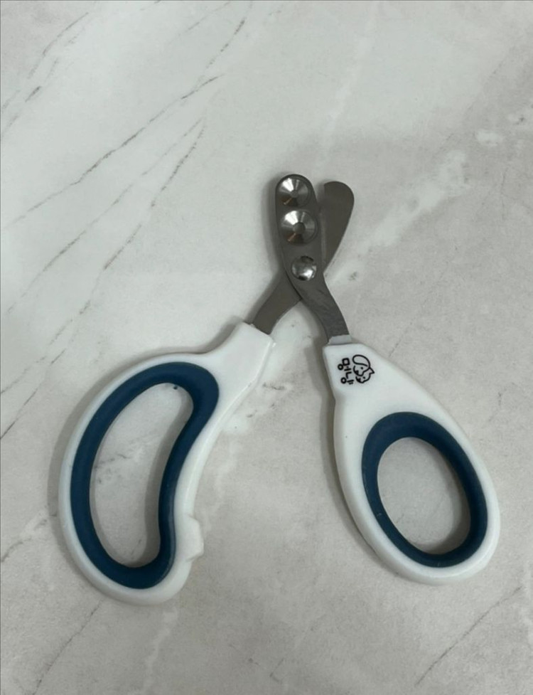 반려동물 용품 새거 (일괄) 이미지