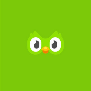 듀오링고 슈퍼 패밀리 1년 모집합니다