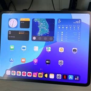 m4 pro 12.9 256gb 셀룰러 이미지