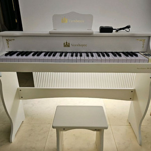 레노피아 베른호이체 61건반 피아노 풀세트 팝니다