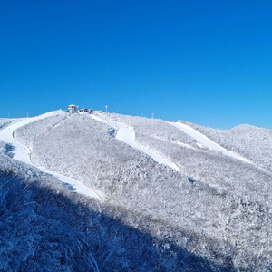 (최저가 보장) 하이원 리조트 - 극성수기 콘도 & 호텔 예약(주말 가능)