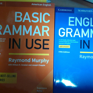 영어 문법 grammar in use