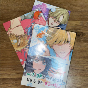 금붕어 가게의 가짜 부부 만화책 1-3권