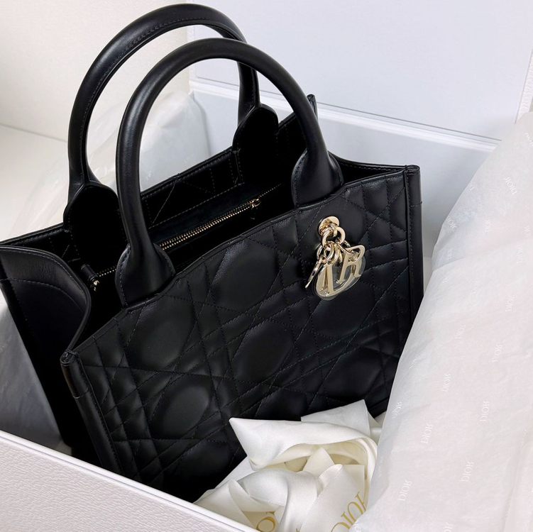 디올 북토트 레더 스몰 [풀패키징]--1