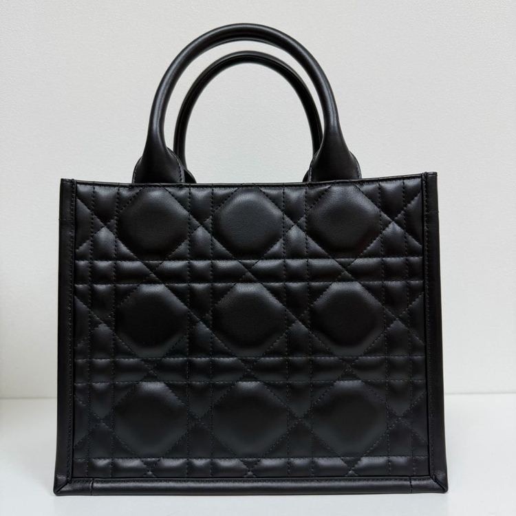 디올 북토트 레더 스몰 [풀패키징]--5