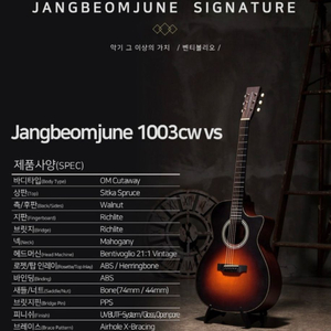 장범준 1003CW VS 통기타 신품급