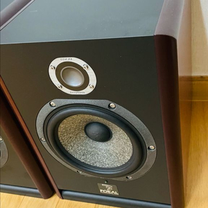 포칼 solo6be 판매합니다