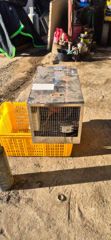 하우스9kW농업용난방기 이미지