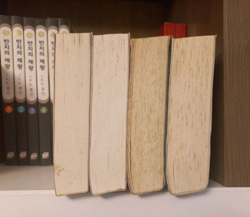 트와일라잇 소설 시리즈 전권 (4권)--1