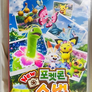 닌텐도 스위치 포켓몬 스냅 칩 판매