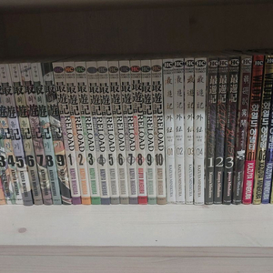 최유기 및 와일드 어댑터