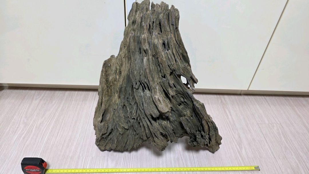 대형유목 2개 이미지