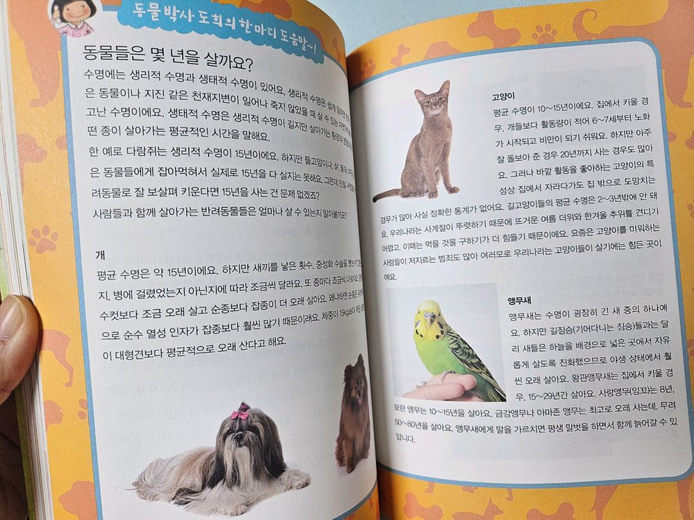 뭉치 사회과학토론왕--3