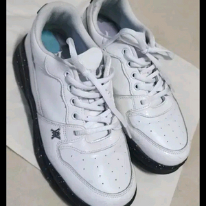 어뉴골프 ANEW 골프화 250/ 말본 방한모자