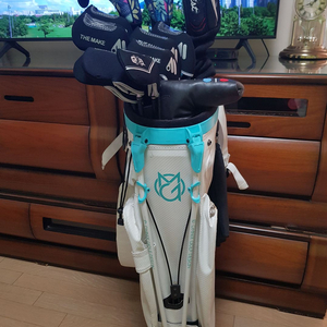 초급용 정품 타이틀리스트와 젝시오아이언등 풀세트 싸게 처분해요.