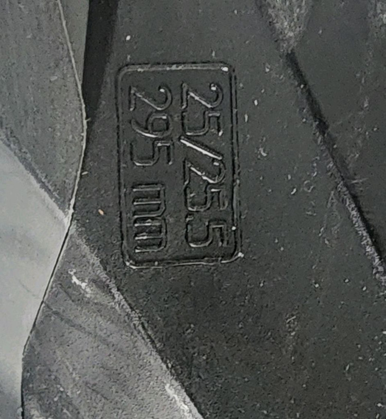 노르디카 도버먼 GP 60 아동/여성 스키부츠 이미지