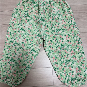 프레젠트 프로젝트 고쟁이 L &베피 구상 양말 100사이즈