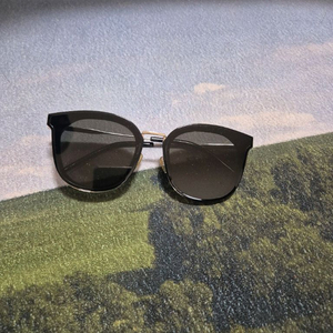 젠틀몬스터 라이트니스 선글라스