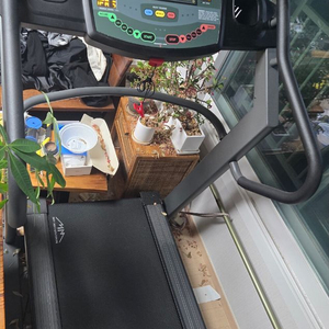 홈짐 런닝머신 유산소 디랙스 마이마운틴 마마