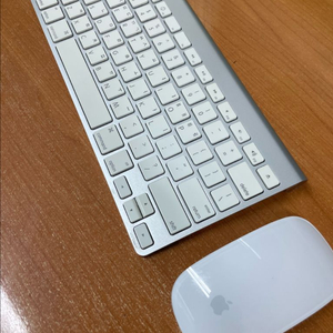 애플 1세대 무선 키보드 마우스 세트