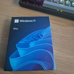 윈도우 11 정품키 USB