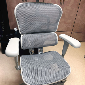 에르고휴먼 B이글X 발판버전