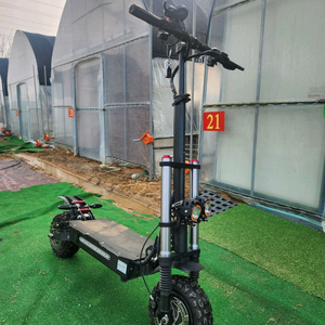 듀얼전동킥보드판매합니다.