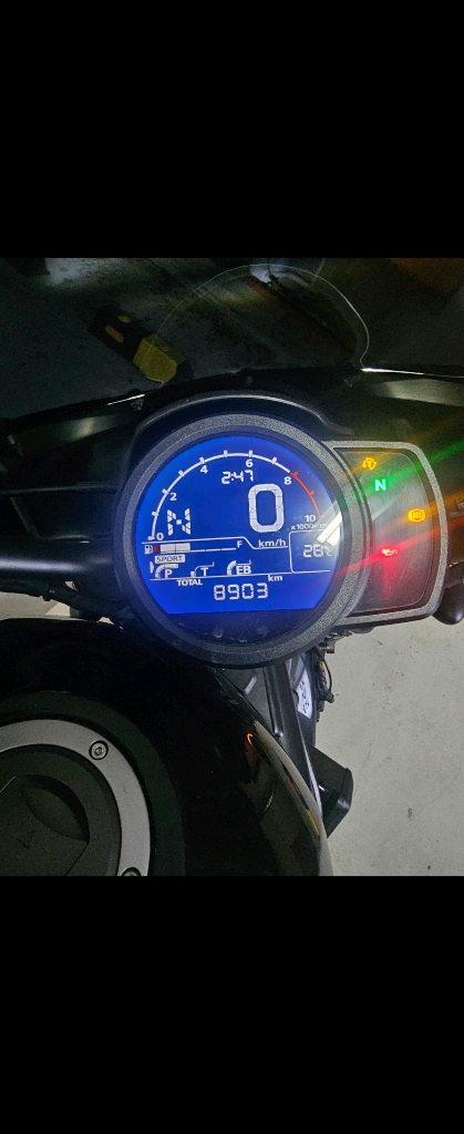 (대리기재) 24년식 혼다 레블 1100MT 8900키로--5