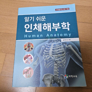 알기쉬운 인체해부학