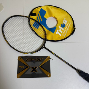 트라이온 xo 이노베이션 y 이노y