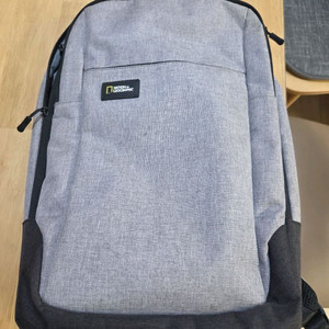 내셔널지오그래픽 백팩 회색