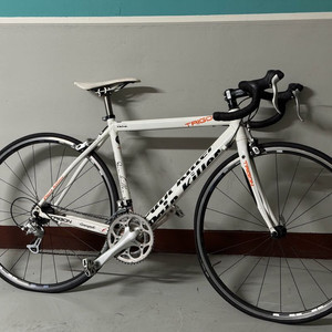 트리곤 페인킬러2 2010년형 이미지