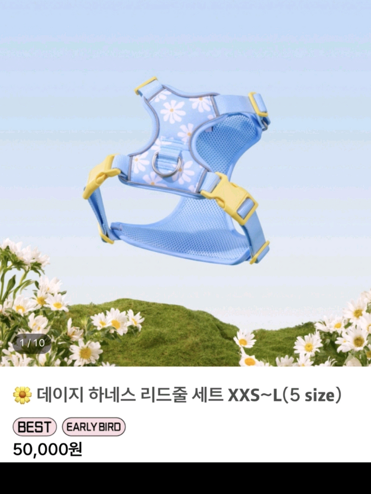 모몽 반려견 애견 데이지 하네스 리드줄 세트 이미지