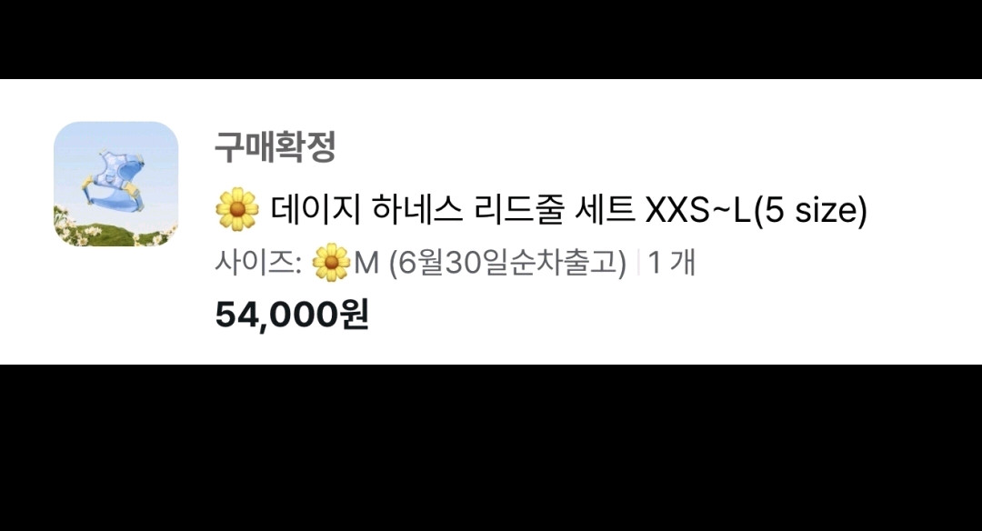 모몽 반려견 애견 데이지 하네스 리드줄 세트 이미지