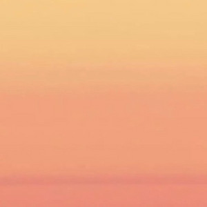 항공과 중고 스타킹 등 팔아요 이미지