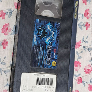 엘리게이터 시티 레트로 고전 영화 VHS 비디오 테이프 이미지