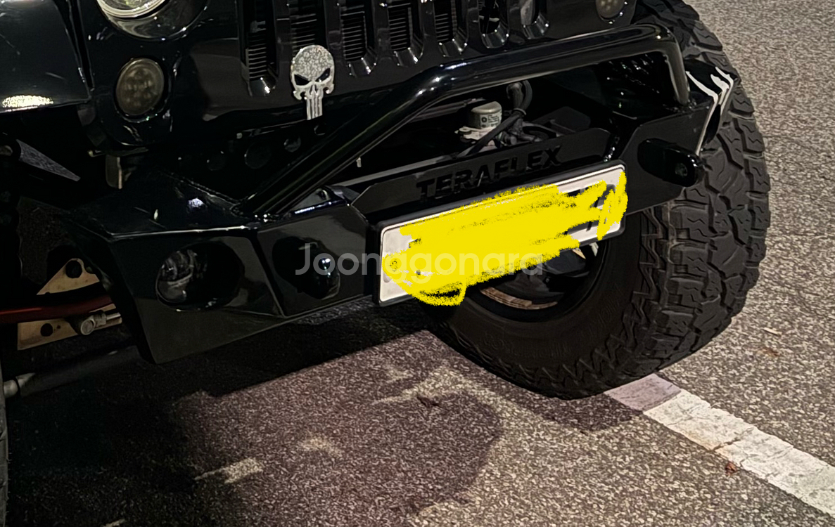 테라플랙스 범퍼--1