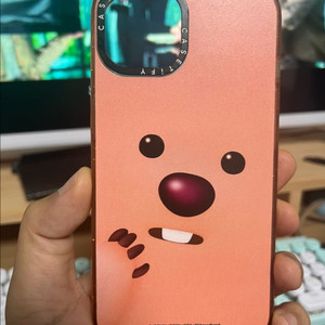 케이스티파이 케이스 아이폰13 루피