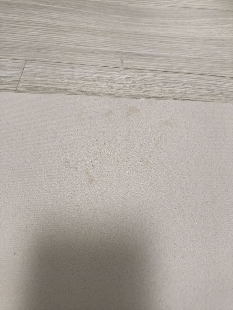 빨아쓰는 3세대 규조토 발매트 2장 (베이지)--2