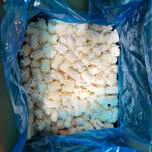 냉동 솔방울오징어 10kg