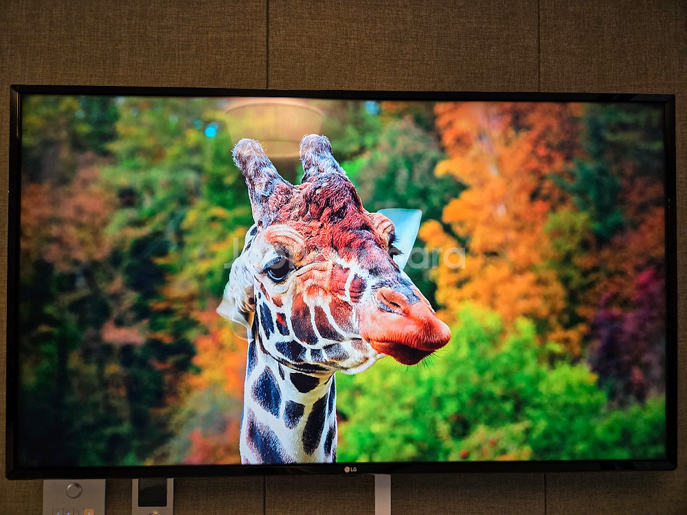 49인치 LG 스마트 TV 벽걸이--0