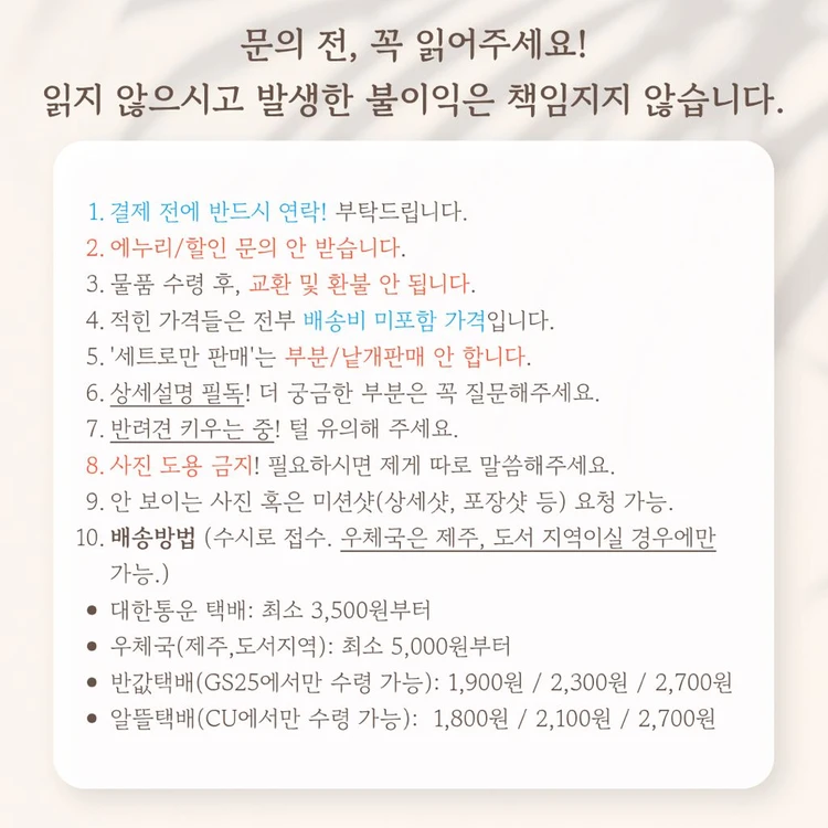옆집 천사님 때문에 어느샌가 인간적으로 타락한 사연 5권 초판부록 일러스트 카드 이미지