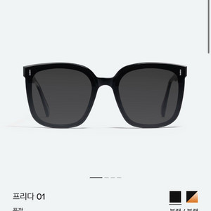 젠틀몬스터 프리다 01 선글라스