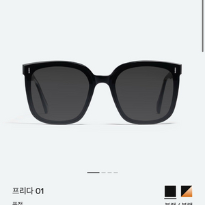 젠틀몬스터 프리다 01 선글라스