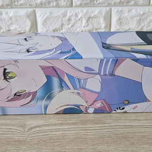 블루아카이브 보충수업부 장패드