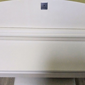 다이나톤DPR-3160s